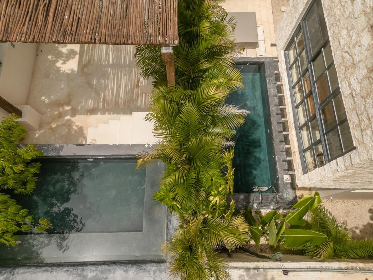 New Aura Jungle Getaway Hébergement de vacances